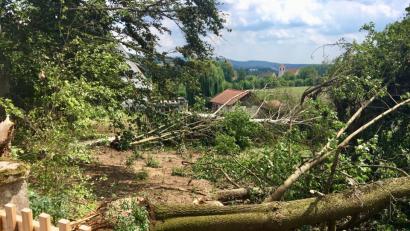 Bild: upl
In diesem Garten in Schönlind hat sich das Gewitter ausgetobt.