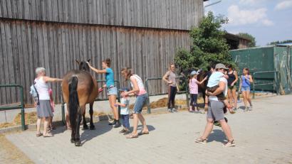 Bild: frd
Nach einer Einweisung über den Umgang mit den Pferden stand die Pferdepflege auf dem Programm, die auch für ein paar „Streicheleinheiten“ genutzt wurde.