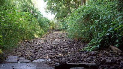 Bild: bkr
Keinen Tropfen Wasser führt der Flötzbach in dem besagten Streckenabschnitt.
