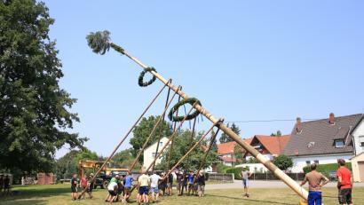 Bild: egl
Mit Muskelkraft wurde der Baum in die Senkrechte gebracht.