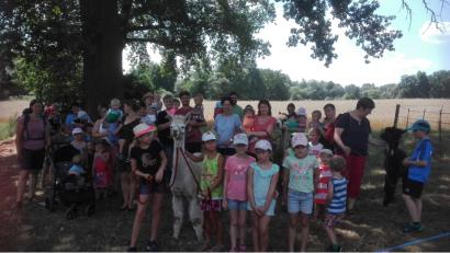 Bild: jzk
Nach der Wanderung ruhen sich die Buben und Mädchen zusammen mit einem Lama unter einem schattigen Baum aus.