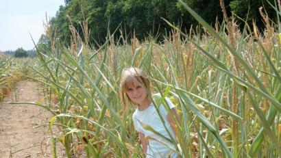 Bild: Gabi Schönberger
Sophie Hösl (9) ist Stammgast im Maislabyrinth in Altenstadt. Dieses Jahr kann sie es jedoch nicht allzu ausgiebig genießen.