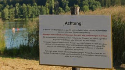 Bild: tr
Seit Anfang August ist wieder eine Warnung vor Blaualgen am Rothenbürger Weiher ausgesprochen.