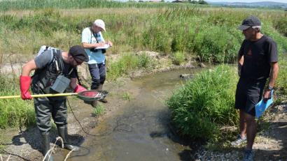 Bild: bnr
Ein ständiges Monitoring soll das Leben im renaturiertem Fensterbach dokumentieren. Mit dem ersten Ergebnis sind ( von links) Norbert Schwarz, Dr. Thomas Ring und Anton Baumann sehr zufrieden.