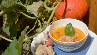 Bild: Gabi Schönberger
Feine Mandelklößchen runden die Kürbissuppe ab.