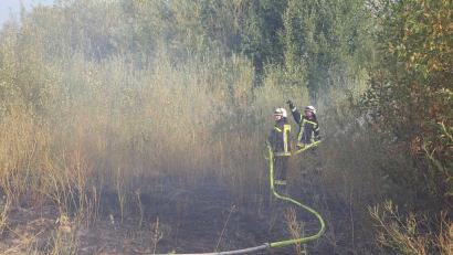 Bild: jma
Feuerwehr Eschenbach im Einsatz in einem Industriegebiet.