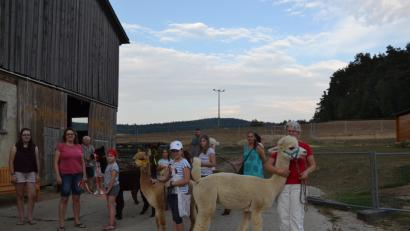 Bild: gi
Die Kinder und Erwachsenen genossen am Konradenhof in Gaisheim eine Wanderung mit Alpakas