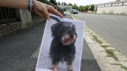 Bild: Wolfgang Steinbacher
Nur ein Bild bleibt Alexander Eckelt von seinem Zwergdackel Aico. An dieser Stelle wurde er von einem großen Hund tot gebissen.