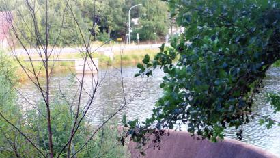 Bild: jml
Wo fast nichts zufließt, da kann auch nichts abfließen. Der Damm am Röthenbacher Hammerweiher liegt trocken und die Wasserturbine (im Hintergrund der Einlauf) ist abgeschaltet. Die Fische leiden stark unter den hohen Temperaturen und bekommen zu wenig Sauerstoff.