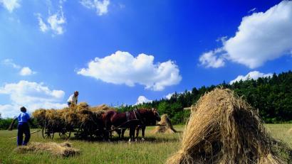 Bild: Sigritz, Marina
Ein Coupon für ermäßigten bzw. freien Eintritt erscheint am 01.09. im Neuen Tag, der Amberger Zeitung sowie der Sulzbach-Rosenberger Zeitung.