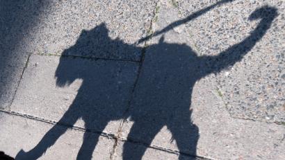 Bild: Ralf Hirschberger
Ralf Hirschberger/Symbolbild