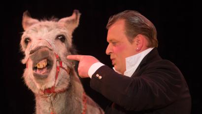 Bild: mte
Ein echter Hingucker ist der Esel des „Circus Carelli“ wohl. Und er ist nicht der einzige, der für tierisch Stimmung im Zirkuszelt sorgen will.