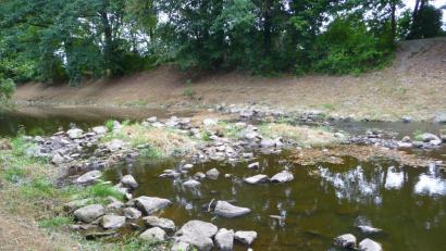 Bild: Kunz
Waldnaab und Flutkanal brauchen unbedingt Regen.