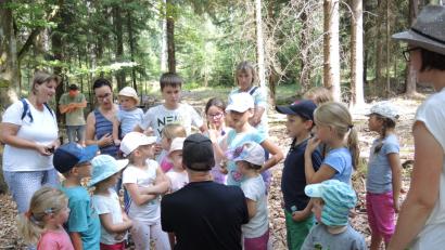 Bild: sm
Mit dem Förster unterwegs: So schön kann Wald sein.