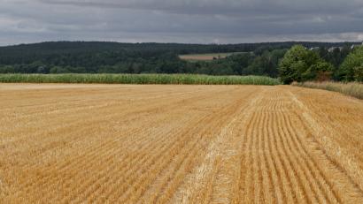 Bild: tr
So früh wie nie haben die Landwirte im Landkreis ihre Getreidefelder abgeerntet.