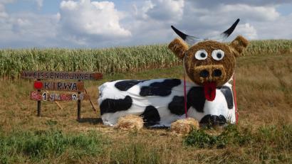 Bild: Georg Hippeli
Kreative Werbung mit Kuh für die Kirwa in Weißenbrunn.