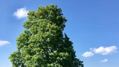 Bild: Rainer Christoph
Bei den Kunstsamstagen geht es darum, Landschaft zu malen, mit Pinsel, Bleistift und Fotoapparat. Die Akteure erwartet eine besondere, pure Natur. 	Bild: Rainer Christoph