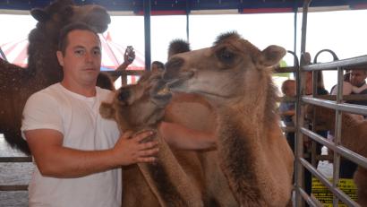 Bild: Kunz
Tiertrainer Antonio Lauenburger und die namenlosen Kamelzwillinge. Bild: Kunz
