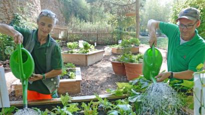 Bild: Gabi Schönberger
Wasser und Zuwendung hilft: Uschi Weidner und Thomas Huber von der Stadtgärtnerei freuen sich, dass dei Bürger den Mitmach-Garten annehmen.