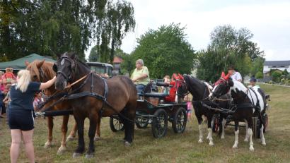 Bild: dob
Ferienaktion der Pferdefreunde im Grenzland Vohenstrauß kommt bestens an.