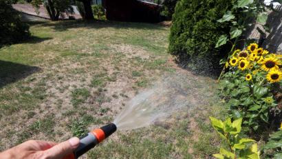 Bild: Gerhard Götz
Viel Wasser wäre notwendig, um die ausgetrockneten Gärten wieder in einem satten Grün leuchten zu lassen.