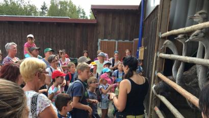 Bild: fjo
Der Waidhauser Nachwuchs besucht die Straußenfarm in Kotzenbach.