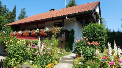Bild: Gemeinde Nagel
Familie Franzke bewies trotz des trockenen Sommers einen besonders grünen Daumen. Die üppige Pflanzen- und Blütenpracht am und um ihr Anwesen erhielt von der Jury die höchste Punktzahl des Blumenschmuckwettbewerbs in der Gemeinde Nagel.