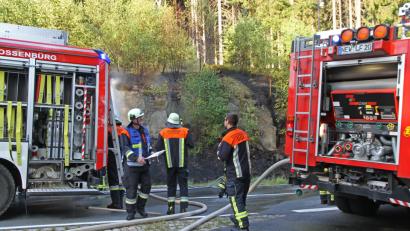 Bild: nm
Nur die Felsen sind noch heil. Ansonsten ist die Böschung auf einer Länge von rund 100 Metern nach dem Brand kohlrabenschwarz.
