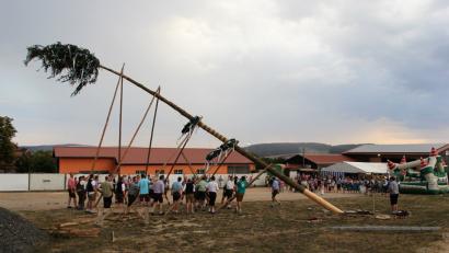 Bild: ral
Am Samstag stellte die „Herrngass“ mit ihren Helfern den Kirwabaum auf.