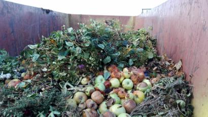 Bild: Stephanie Hladik
Häufig landet Obst im Grüngutcontainer. Die Masse an Früchten wird vielerorts nicht gebraucht.