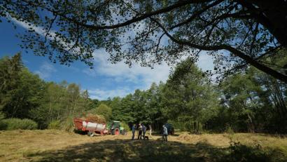 Bild: exb
Mitglieder des Bund Naturschutz auf den Biotop-Wiesen am Südhang des Teichelbergs.