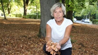 Bild: ads
Helga Verron zeigt sich besorgt angesichts der extremen Trockenheit. Auch die Linden auf dem Mariahilfberg lassen schon erschreckend viel Laub fallen. Sie hofft, dass sich die Bäume nach dieser langen Dürrezeit im Winter wieder erholen und nächstes Jahr wieder austreiben.