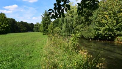 Bild: Petra Hartl
Idylle ohne Menschen. Die Kräuterwiese ist ein beschauliches Stück Amberg. Sie soll mit einem Wettbewerb attraktiver gemacht werden für die Bürger der Stadt.