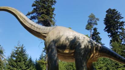 Bild: exb
Im Dinopark Denkendorf gab es viel zu entdecken.