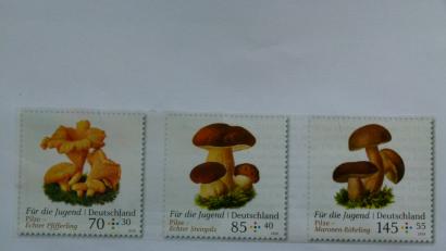 Bild: rn
Vorschau auf Schwammerlsaison 2018: Bei der Deutschen Post sind drei neue Pilz-Briefmarken erhältlich.
