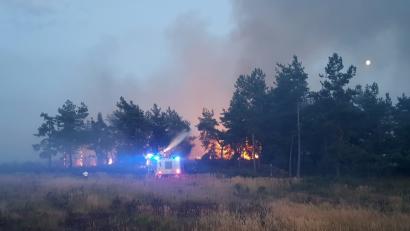 Bild: mor
Feuer im Truppenübungsplatz Grafenwöhr: Mit Firetrucks, Löschpanzer und Flugfeldlöschwagen bekämpft die US-Armee die Flammen.