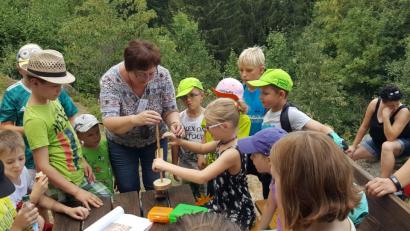 Bild: exb
Auf dem Buchberg liegt eine Fliehburg der Kelten. Über diese Volksgruppe der Eisenzeit erzählt AOVE-Kulturführerin Helen Werner erzählt den Kindern während einer Wanderung.