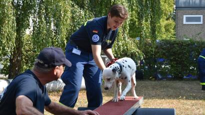 Bild: exb
Junge Hunde werden behutsam an neue Situation gewöhnt