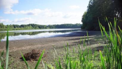 Bild: bkr
Der Wasserspiegel des Hirschbergweihers sinkt drastisch.