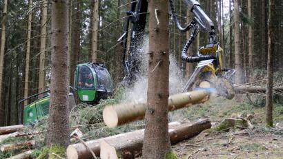 Bild: Schönberger
Harvestereinsatz in einem Waldstück bei Zeßmannsrieth: Die Maschine entfernt von Borkenkäfern befallene Bäume um die Verbreitung des Insekts einzudämmen.