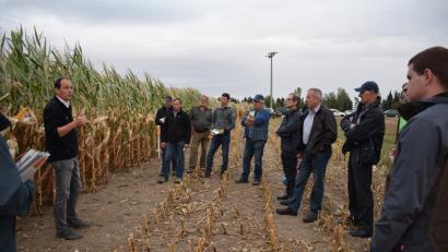 Bild: bnr
Auf einem Versuchsfeld in Söllitz klärte Reiner Bodenmeier (links) Landwirte über die Vorzüge und Nachteile der verschiedenen Sorten auf.