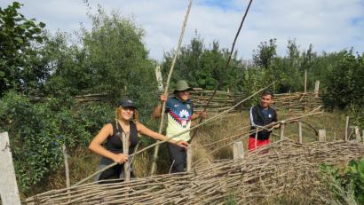 Bild: ubb
International geht's bestens: Die Italienerin Gudovica Zuccino (16) flechtet mit viel Spaß an der Sache gemeinsam mit den Mexikanern Michelle Velazuez und Juan de Dios Venegas(beide 22) einen mittelalterlichen Zaun.