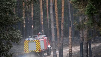 Bild: Ralf Hirschberger/dpa
Symbolbild.