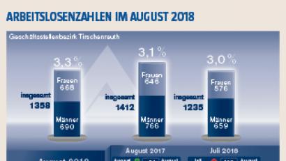 Bild: Grafik nt/az
Die Arbeitslosenzahlen im Bezirk Tirschenreuth für August 2018