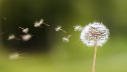 Bild:  martinproell – stock.adobe.com
Tun Sie auch mal das, was Ihnen Freude macht – und zwar ohne sich dabei unter Druck zu setzen.