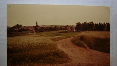 Bild: gpa
So sah noch bis in die 50er Jahre der Ackerweg aus, der ab dem Friedhof (rechts hinter Bäumen) zum Lohweiher führte. Vorne die Kreuzung: Links zum „Felsenkeller“, rechts zum „Dampferstadel“ Im Hintergrund Pfarrkirche und Allee zur Bergkirche. Zu sehen ist auch der Weg vom Schulhaus zum Sportplatz, auf dem später die Handschuhnäherei stand. Wo die jetzige Siedlung entstand, gab es Getreidefelder und „Erdäpfläcker“.