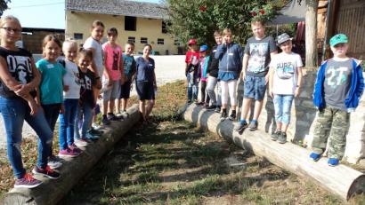 Bild: ksi
Ein Besuch auf dem Bauernhof ist für Kinder immer ein Erlebnis. Auf dem Brunner-Hof war auch noch Geschicklichkeit gefragt.