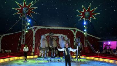 Bild: ubb
Zirkus Henry gastiert in Tirschenreuth.