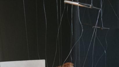 Bild: exb
Einmal mehr lockt das Betz-Theater aus Ammerthal das Publikum in Vilseck an.