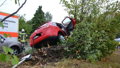 Bild: za
Das Auto machte ein Schild platt und entwurzelte ein Gebüsch.